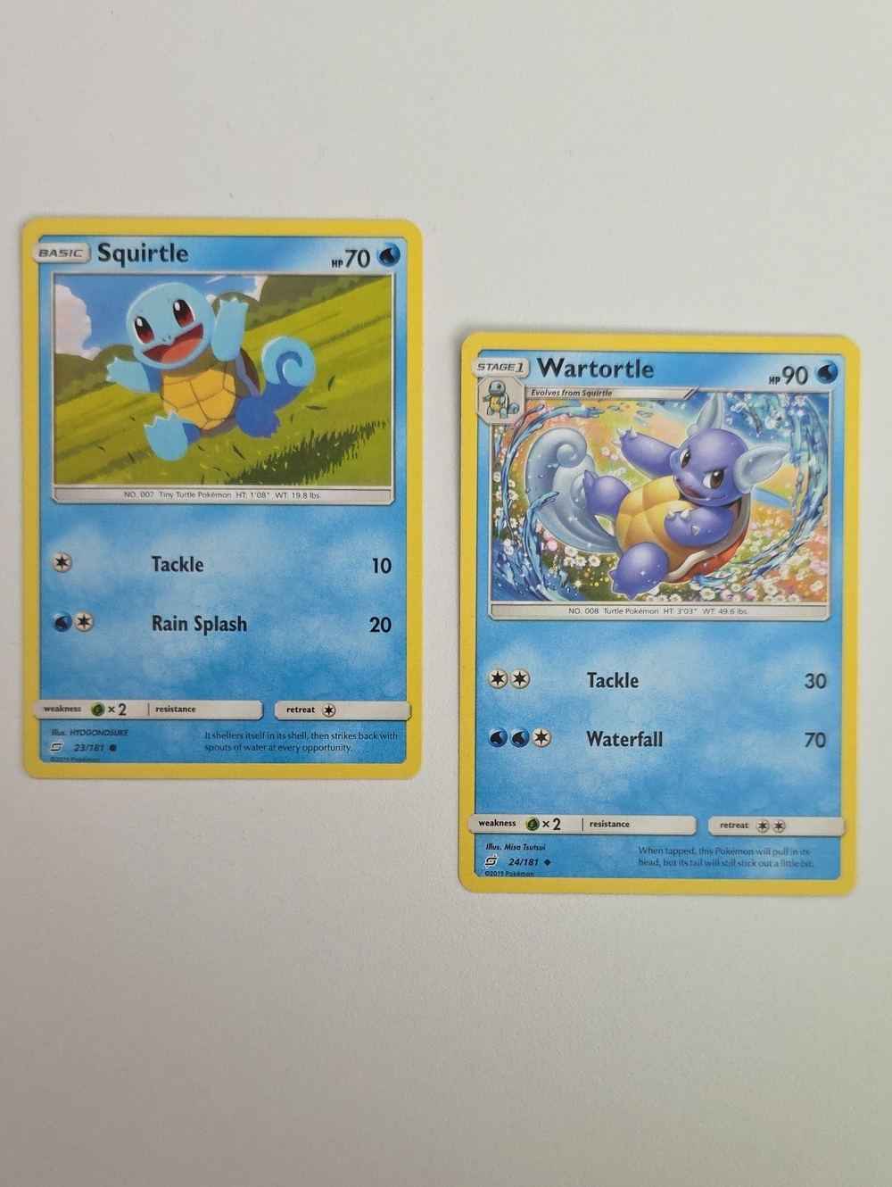 Pokemon Squirtle And Wartortle Trading Card